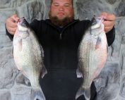 white bass