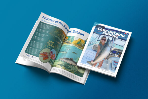 brochure mockup